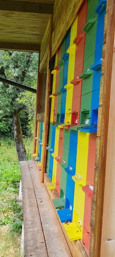 Nona Bb Bed & Breakfast Postojna Exterior photo